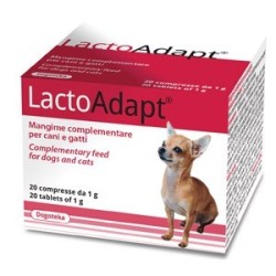 LactoAdapt (20 comprimés de 1g)