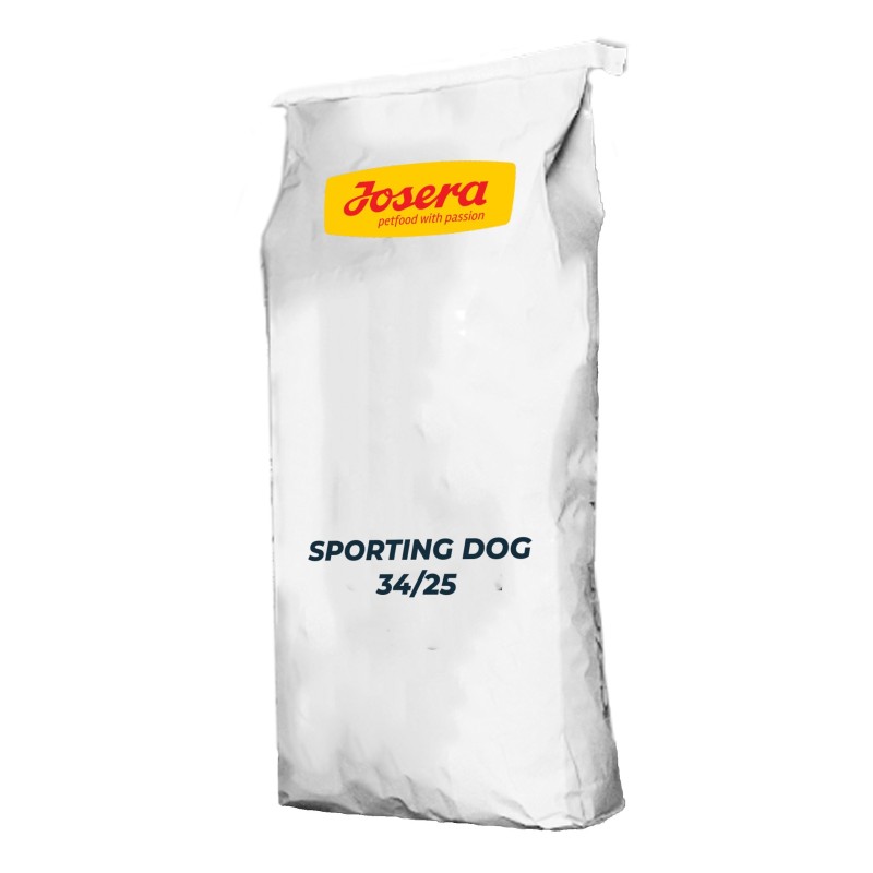 Sporting Dog