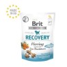 Brit Snack Functional Recovery Hareng et Argousier 150GR