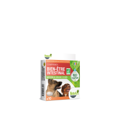 Comprimés Bien être intestinal Chien Naturlys 10 comprimés