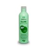 Omega Olive Shampoo (250ml ou 5000ml)