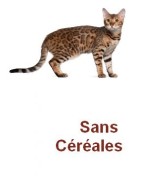 Sans Céréales